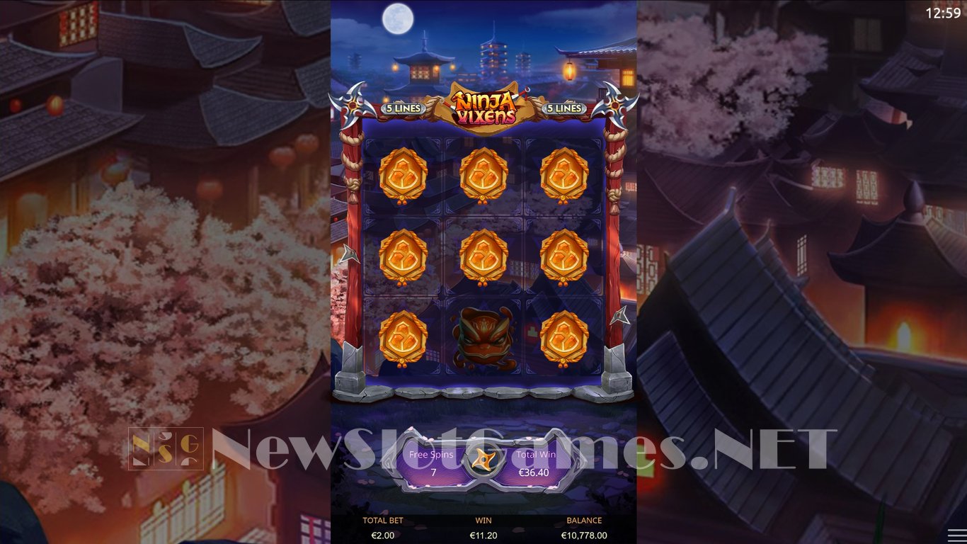 Ninja Vixens Slot Slot Image in Demo - pic. 11