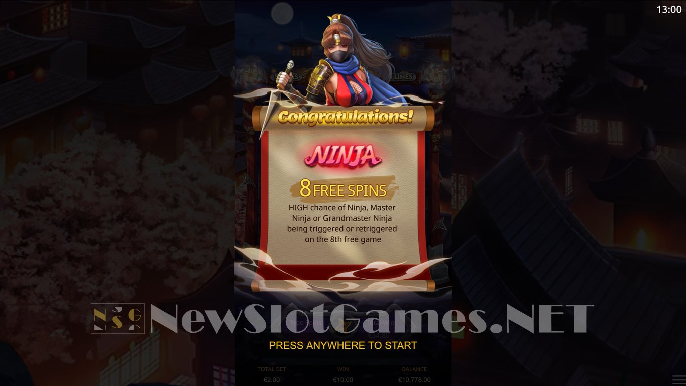 Ninja Vixens Slot Slot Image in Demo - pic. 12