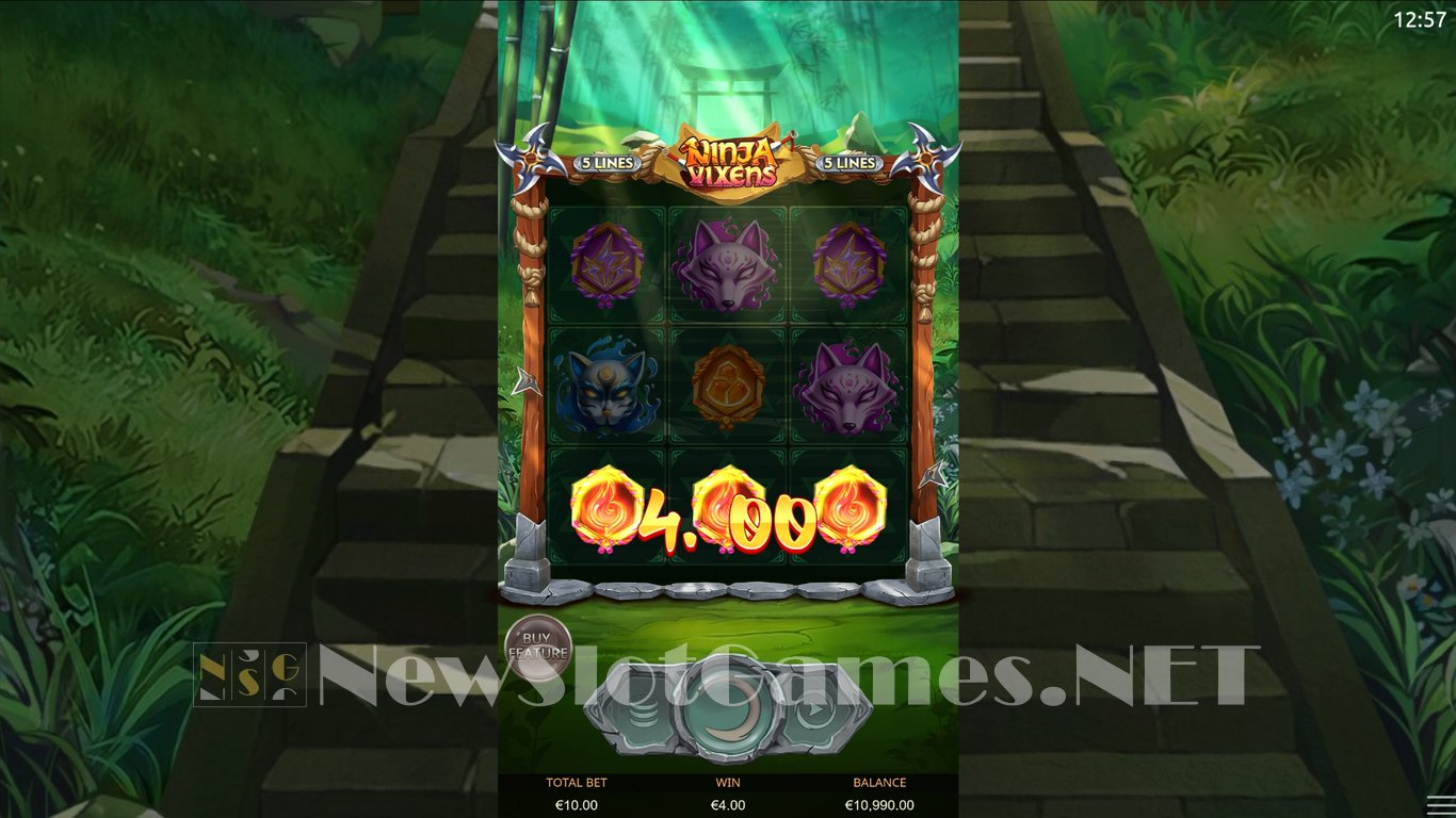 Ninja Vixens Slot Slot Image in Demo - pic. 2