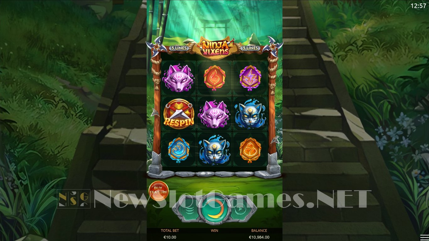 Ninja Vixens Slot Slot Image in Demo - pic. 3