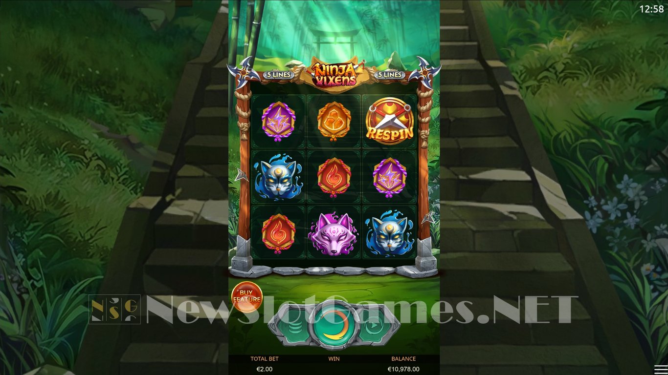 Ninja Vixens Slot Slot Image in Demo - pic. 4
