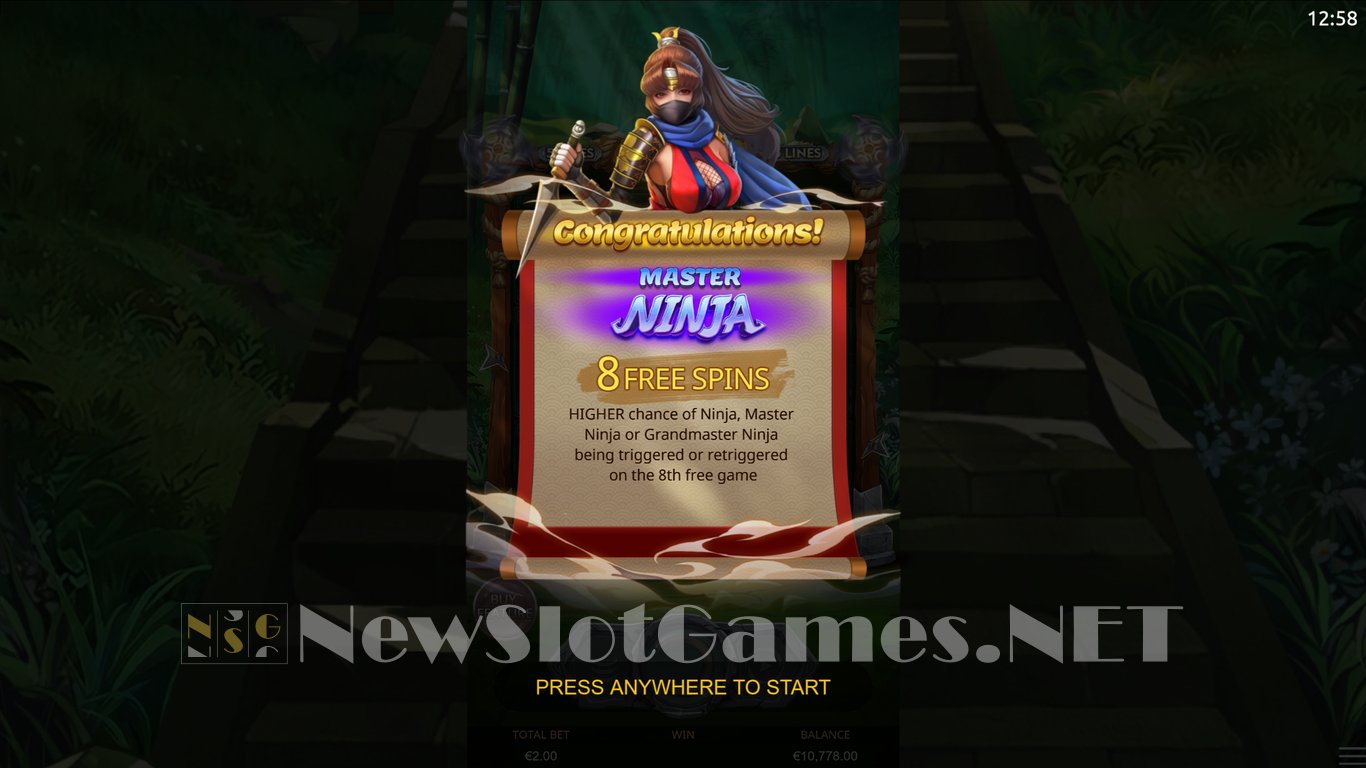 Ninja Vixens Slot Slot Image in Demo - pic. 6