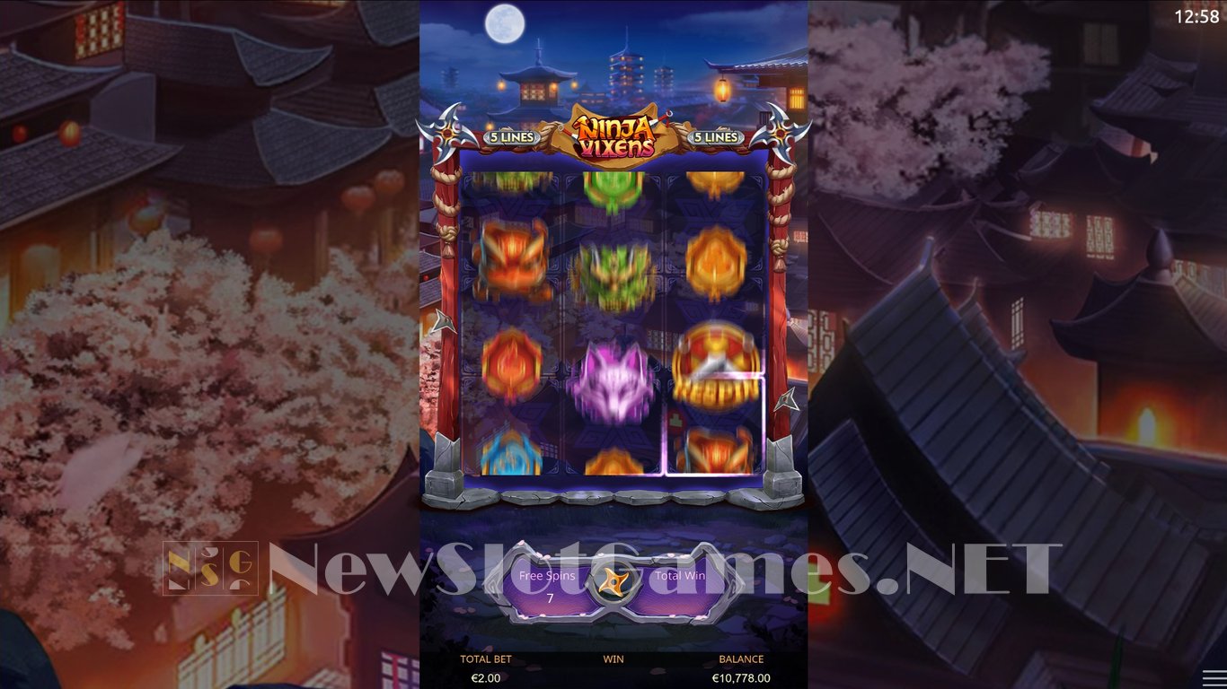 Ninja Vixens Slot Slot Image in Demo - pic. 7
