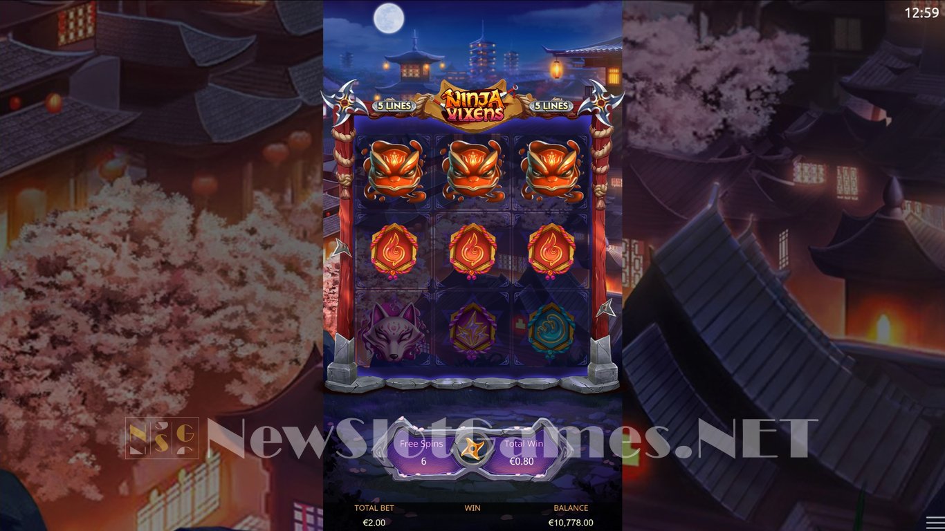 Ninja Vixens Slot Slot Image in Demo - pic. 8