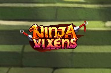 Ninja Vixens Slot Logo