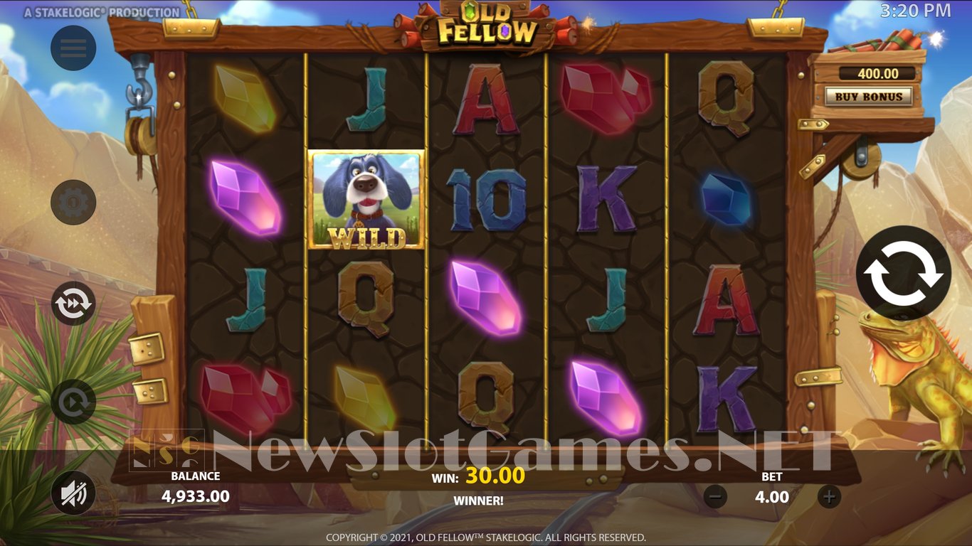 Old Fellow Slot Slot Image in Demo - pic. 9