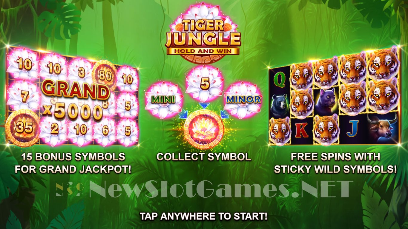 Tiger Jungle: Hold and Win Slot Demo Image