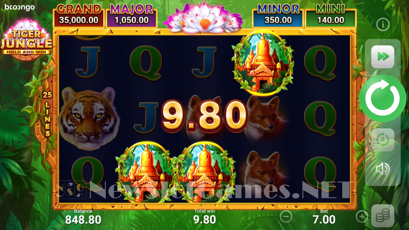 Tiger Jungle: Hold and Win Slot Slot Image in Demo - pic. 10