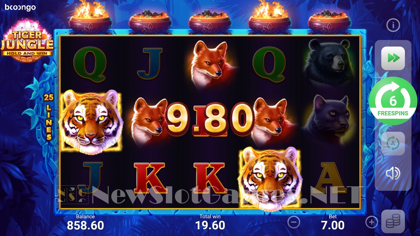 Tiger Jungle: Hold and Win Slot Slot Image in Demo - pic. 12