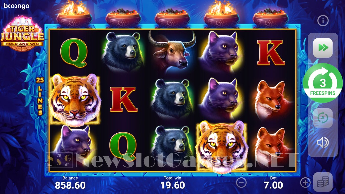 Tiger Jungle: Hold and Win Slot Slot Image in Demo - pic. 13