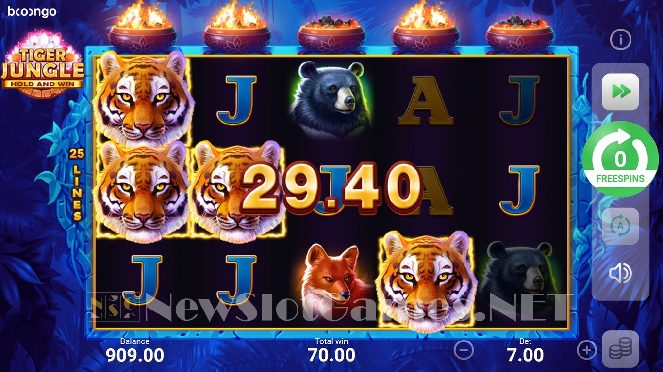 Tiger Jungle: Hold and Win Slot Slot Image in Demo - pic. 14