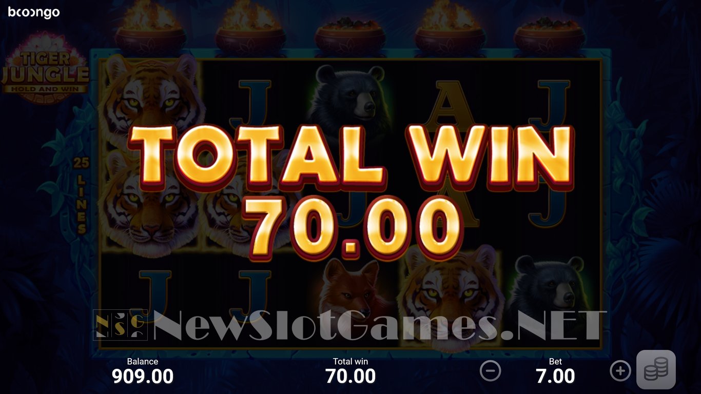 Tiger Jungle: Hold and Win Slot Slot Image in Demo - pic. 15
