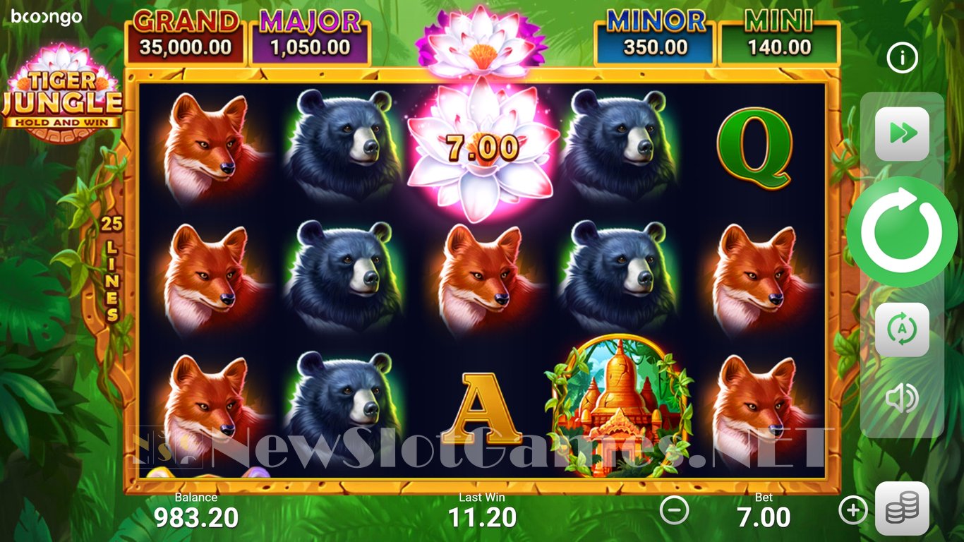 Tiger Jungle: Hold and Win Slot Slot Image in Demo - pic. 2