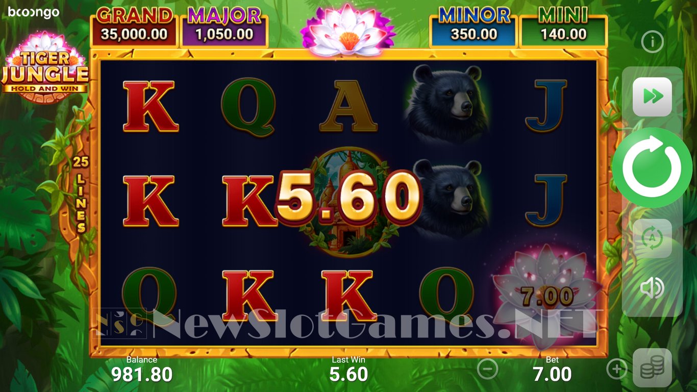Tiger Jungle: Hold and Win Slot Slot Image in Demo - pic. 3