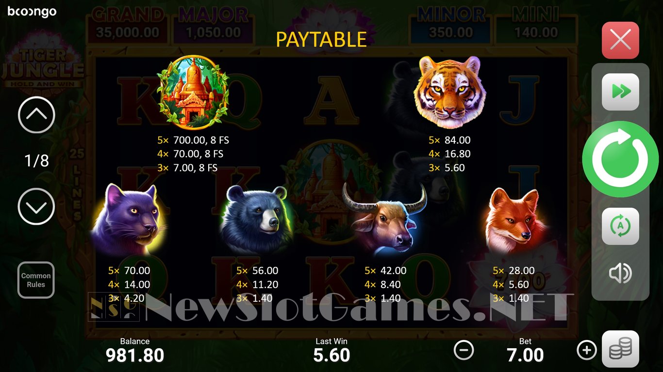 Tiger Jungle: Hold and Win Slot Slot Image in Demo - pic. 4