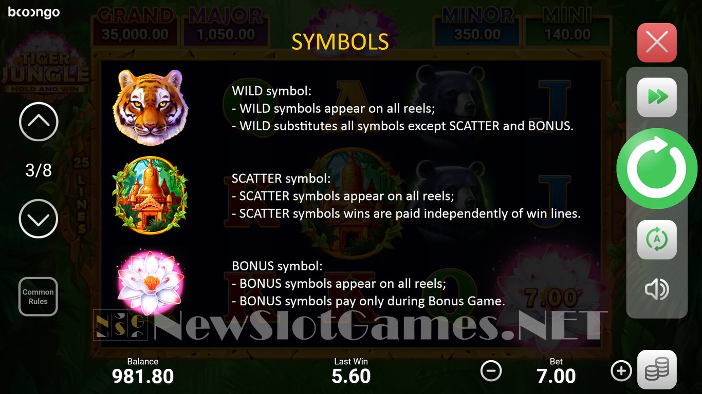 Tiger Jungle: Hold and Win Slot Slot Image in Demo - pic. 5