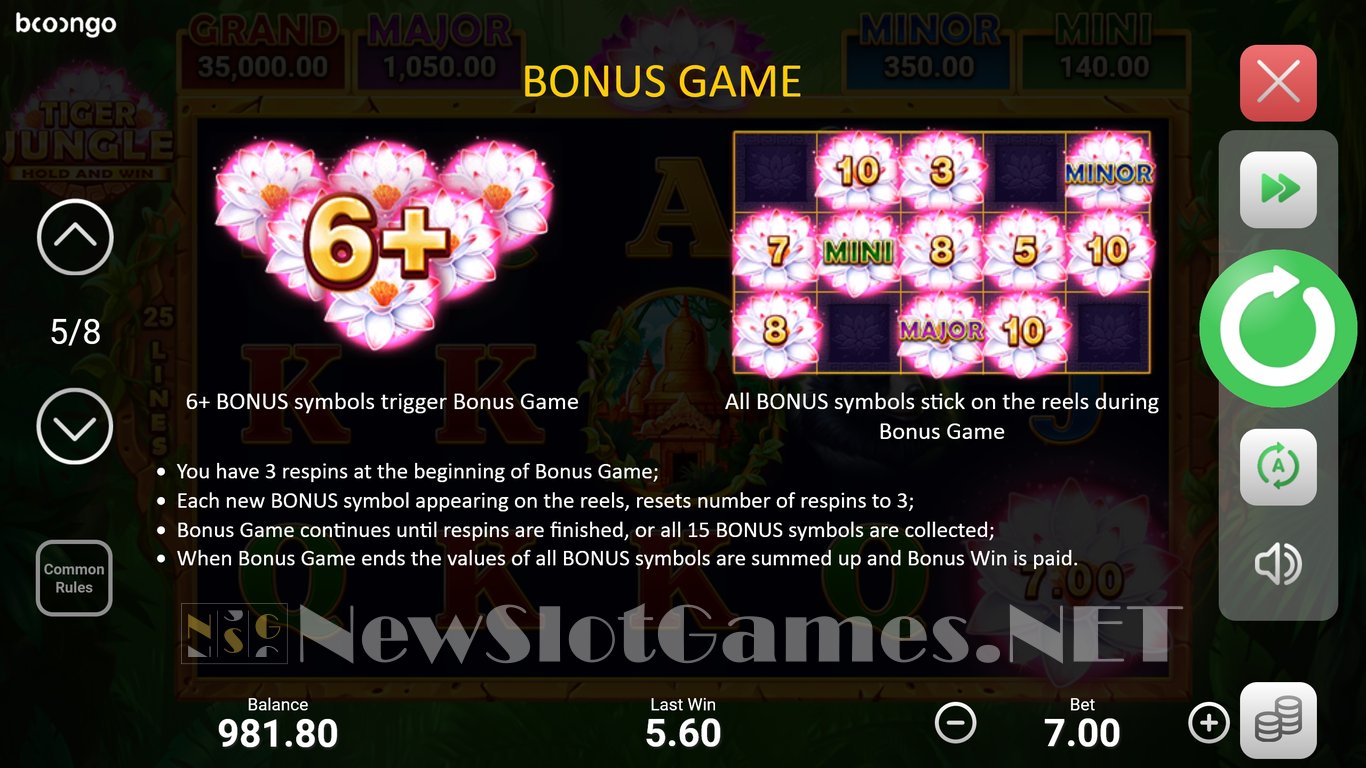 Tiger Jungle: Hold and Win Slot Slot Image in Demo - pic. 7