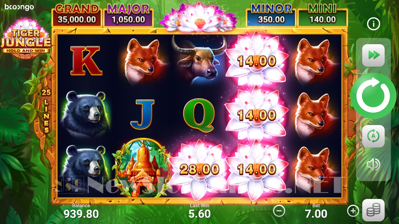 Tiger Jungle: Hold and Win Slot Slot Image in Demo - pic. 8