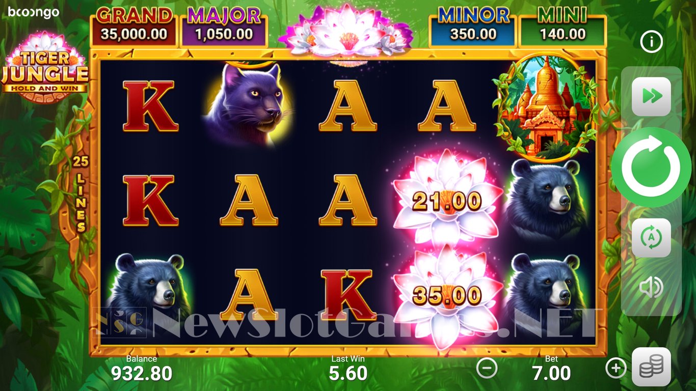 Tiger Jungle: Hold and Win Slot Slot Image in Demo - pic. 9