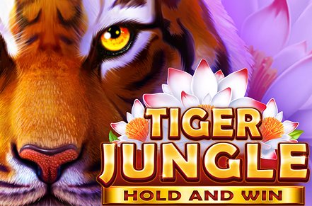 Tiger Jungle: Hold and Win Slot Icon