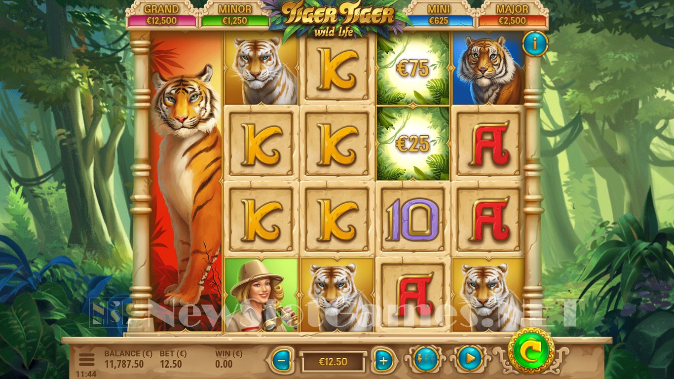 Tiger Tiger Slot Slot Image in Demo - pic. 2
