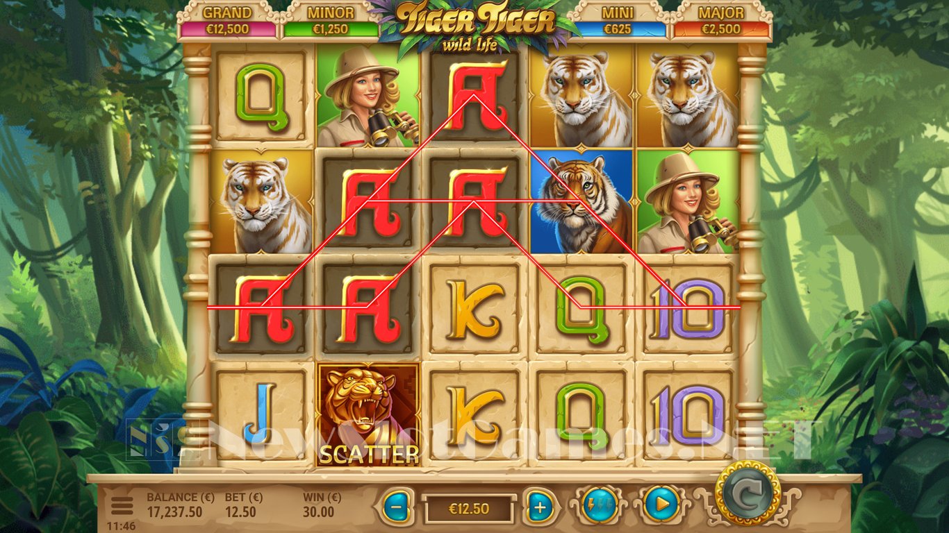 Tiger Tiger Slot Slot Image in Demo - pic. 3