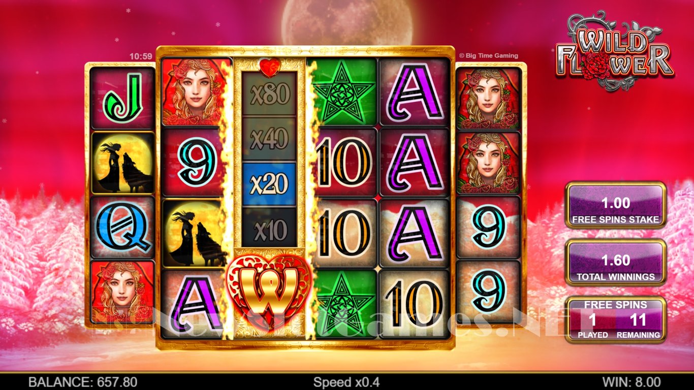 Wild Flower Slot Slot Image in Demo - pic. 2