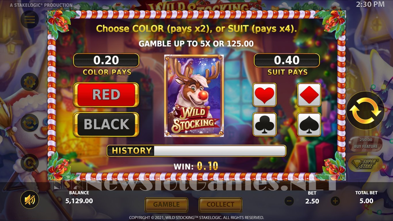 Wild Stocking Slot Slot Image in Demo - pic. 14