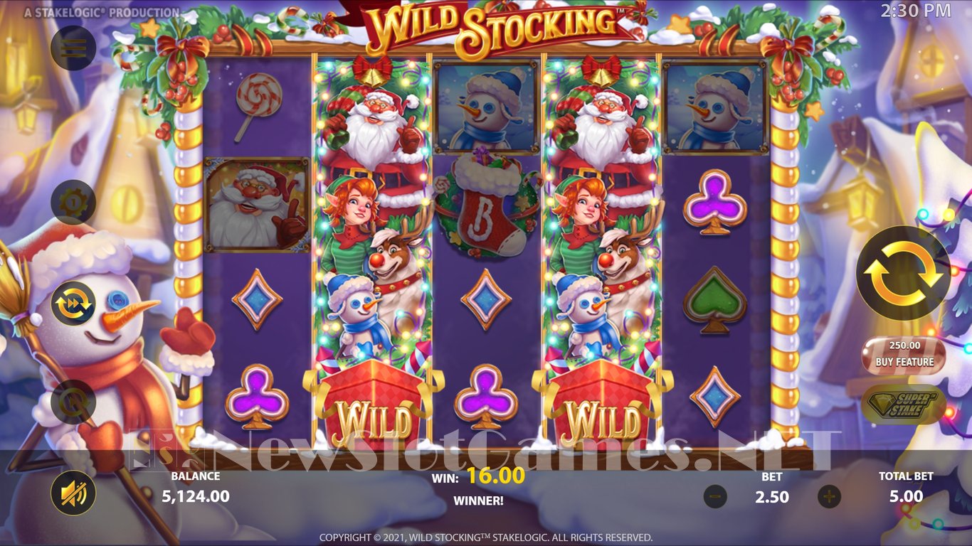 Wild Stocking Slot Slot Image in Demo - pic. 15