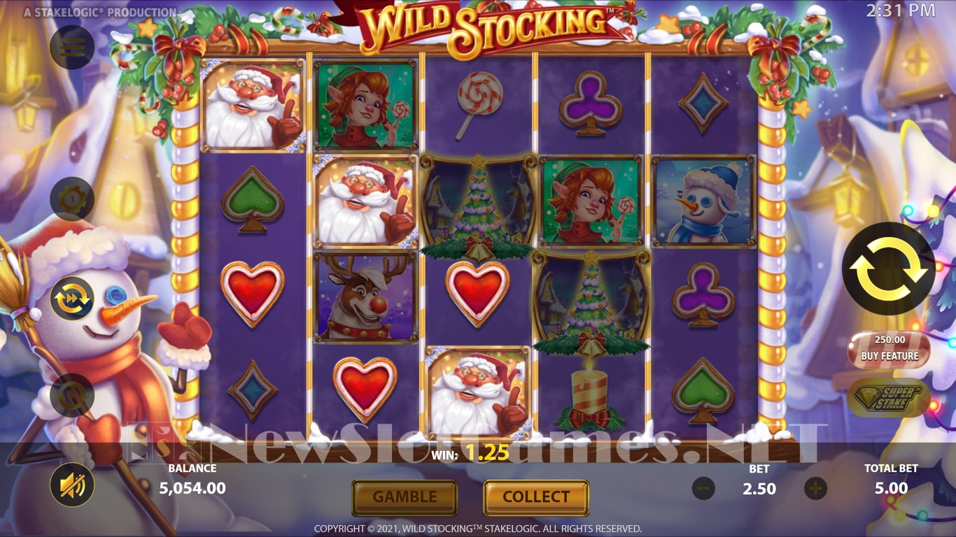 Wild Stocking Slot Slot Image in Demo - pic. 16