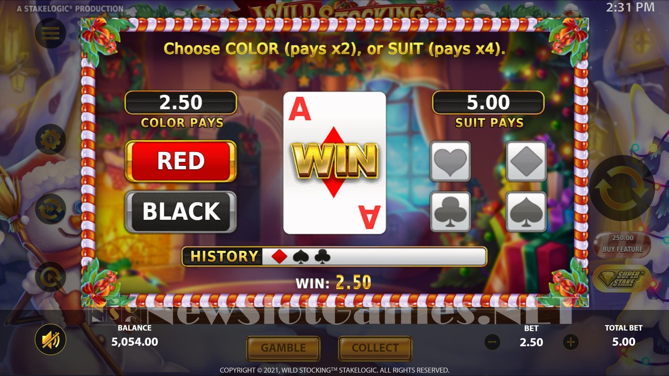 Wild Stocking Slot Slot Image in Demo - pic. 17