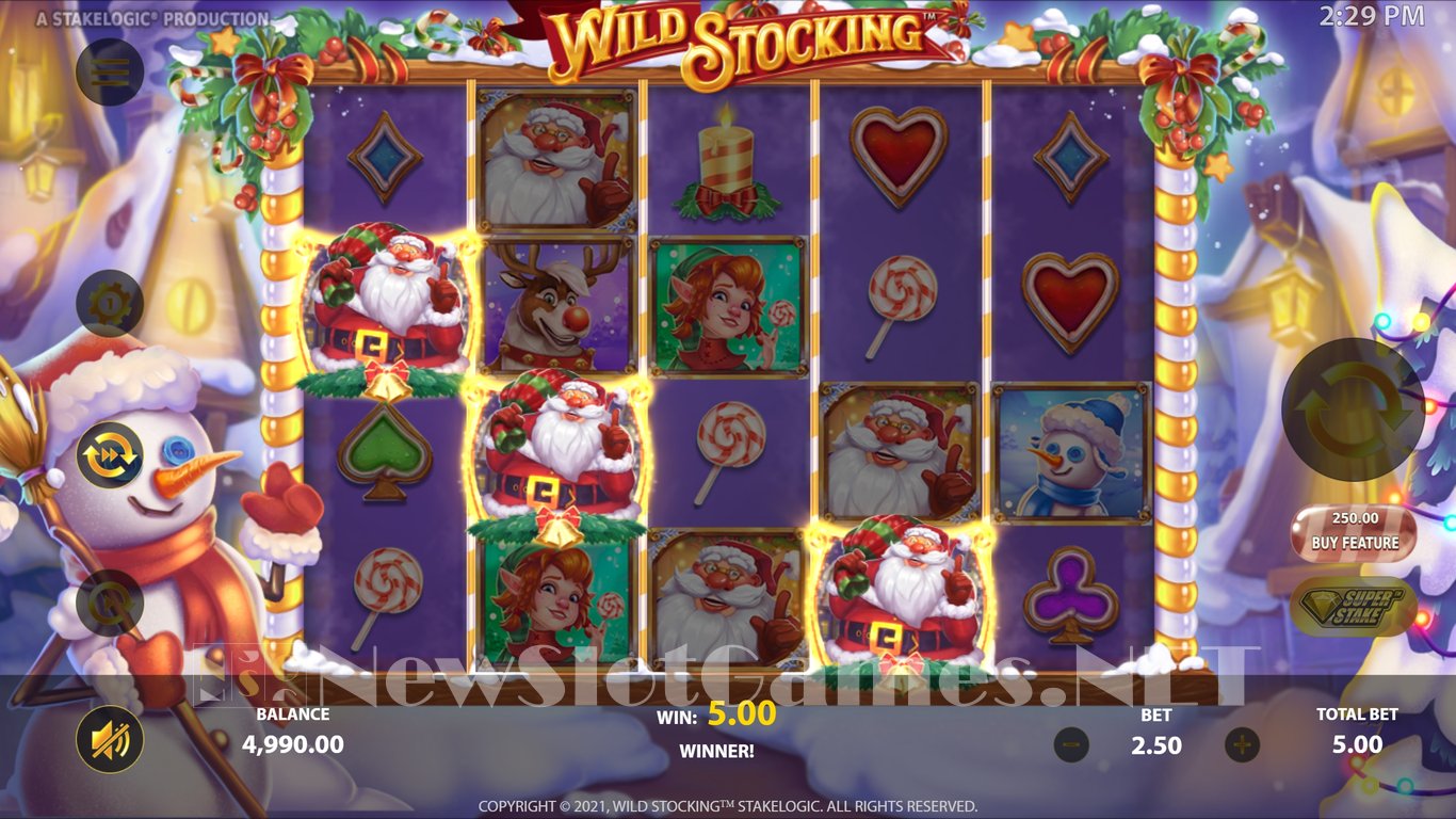 Wild Stocking Slot Slot Image in Demo - pic. 3