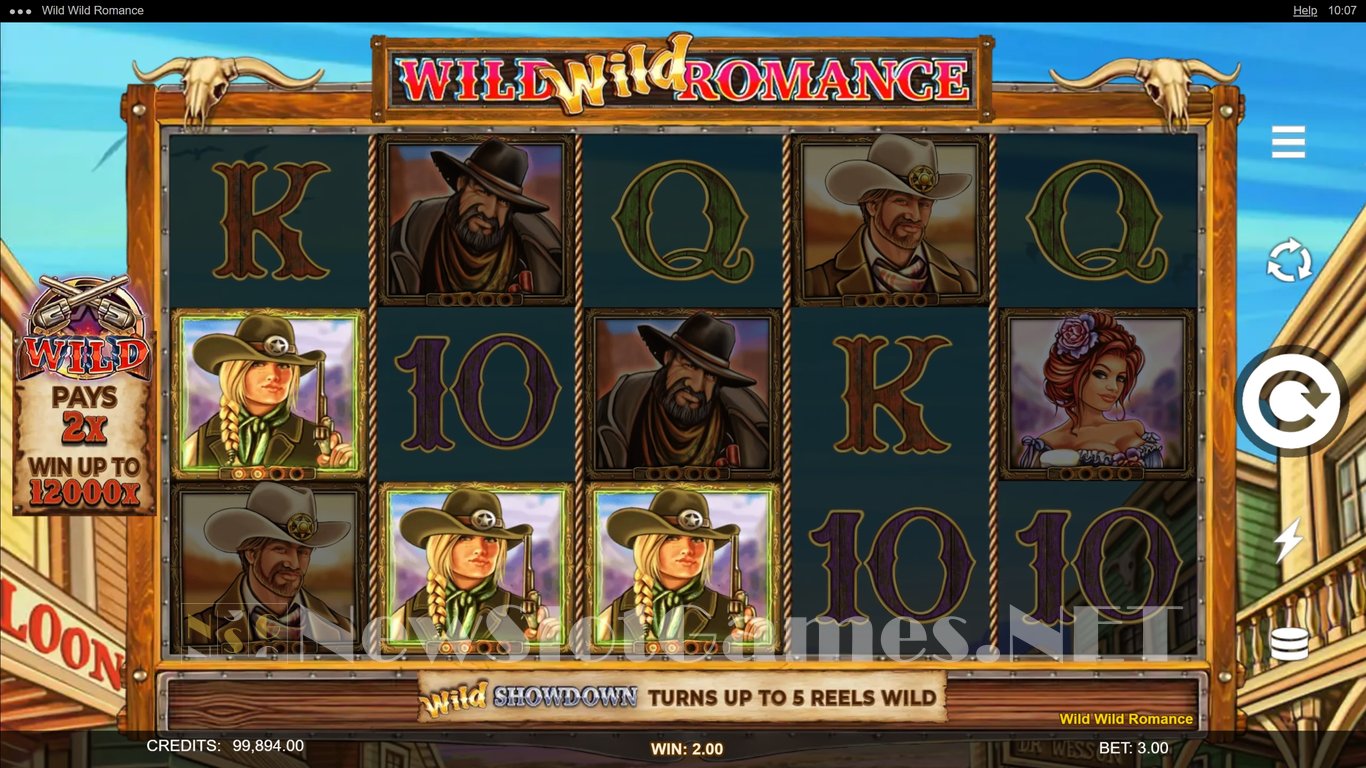 Wild Wild Romance Slot Slot Image in Demo - pic. 10