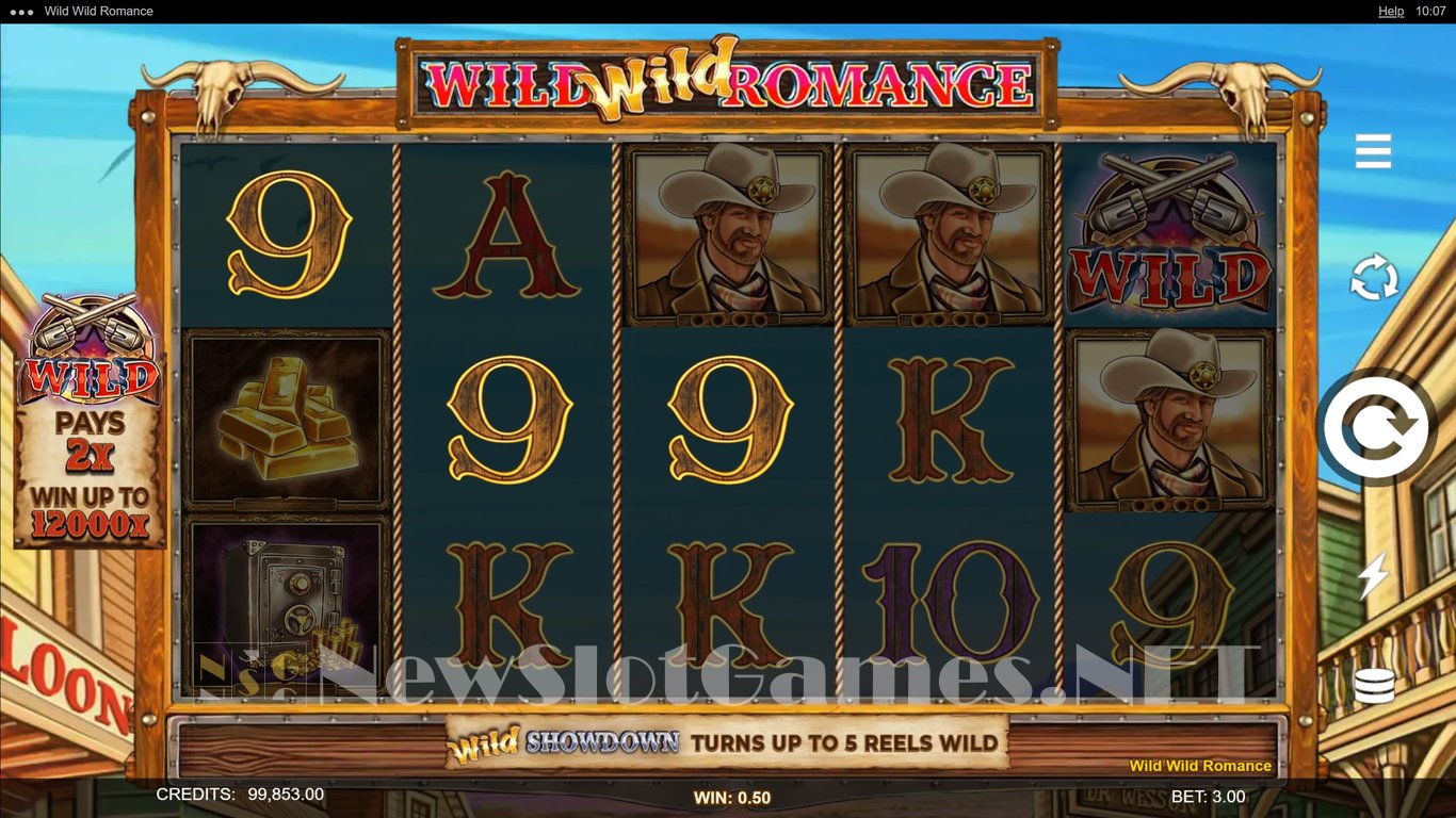 Wild Wild Romance Slot Slot Image in Demo - pic. 11