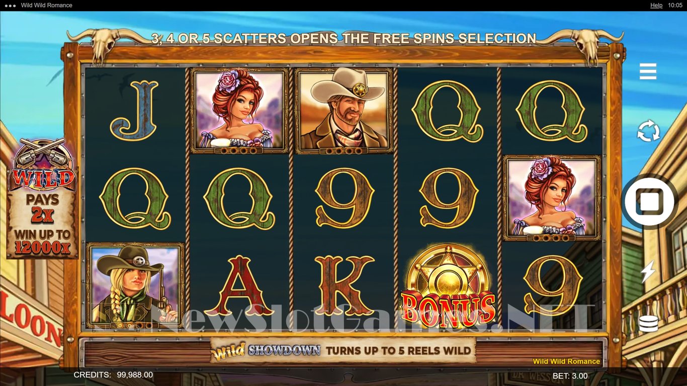 Wild Wild Romance Slot Slot Image in Demo - pic. 6