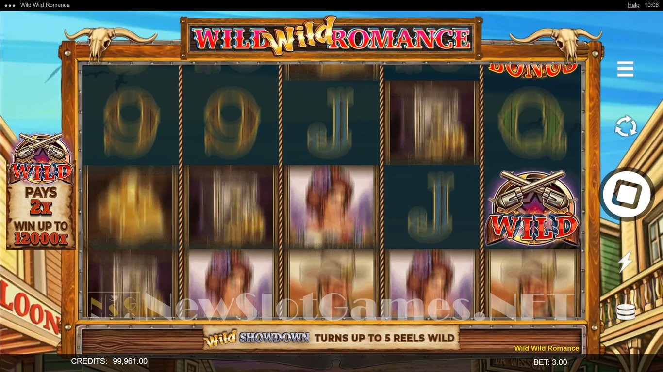 Wild Wild Romance Slot Slot Image in Demo - pic. 7