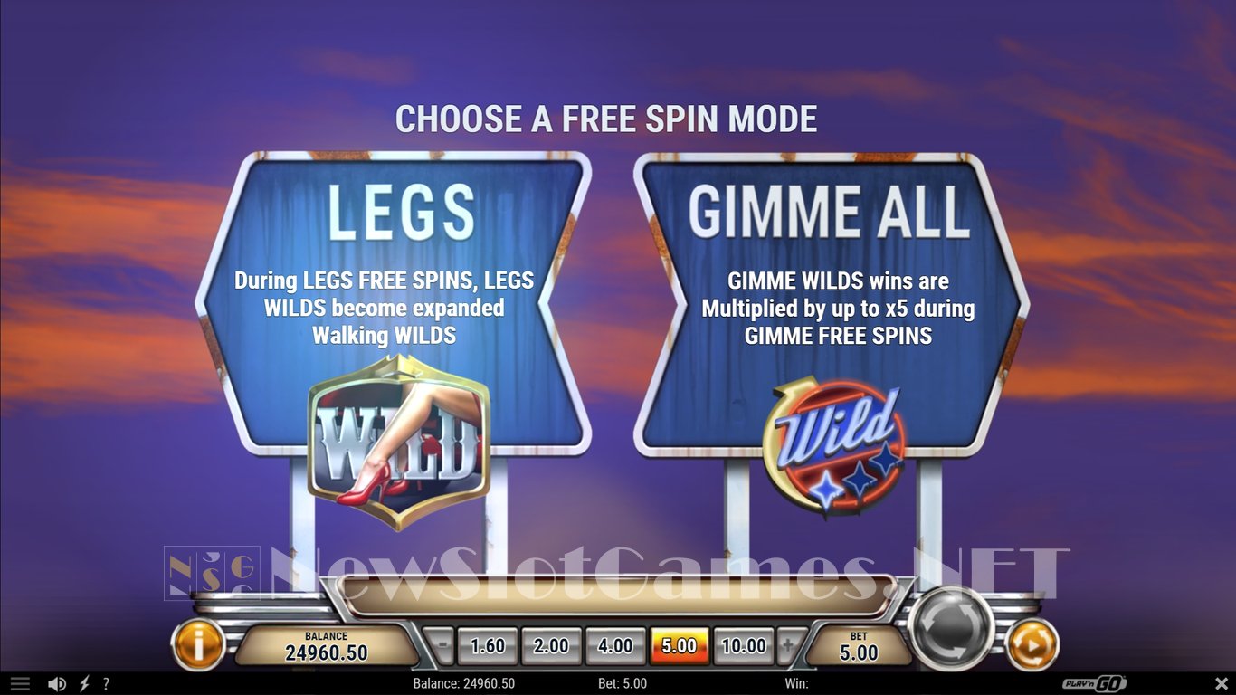 ZZ Top Roadside Riches Slot Slot Image in Demo - pic. 5