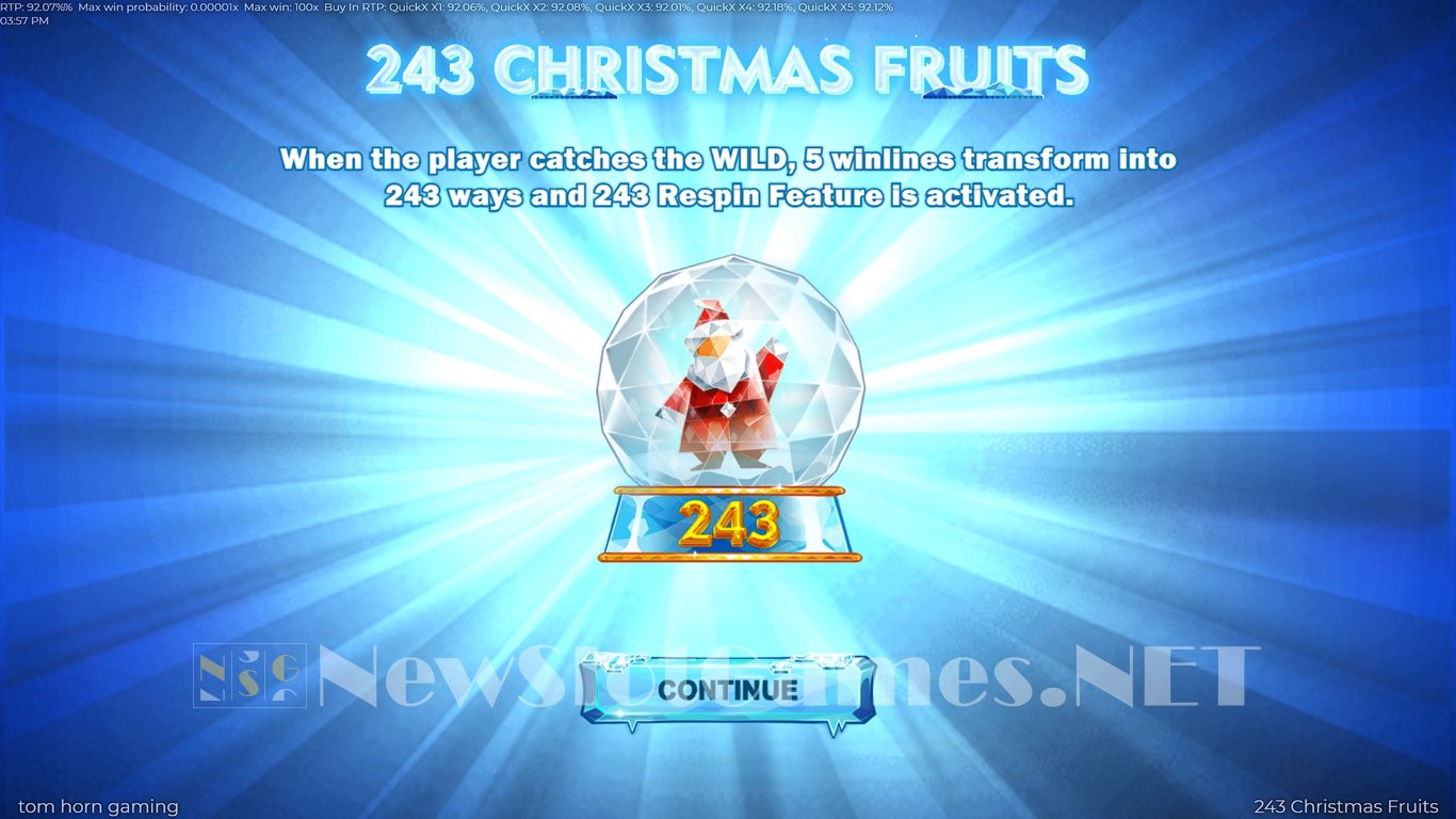 243 Christmas Fruits Slot Demo Image