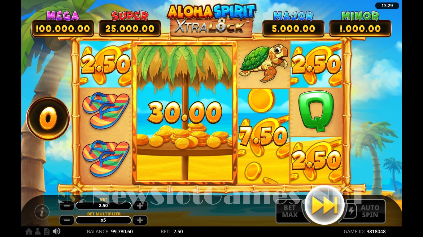 Aloha Spirit XtraLock Slot Slot Image in Demo - pic. 15