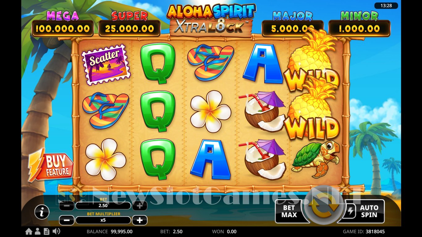 Aloha Spirit XtraLock Slot Slot Image in Demo - pic. 2