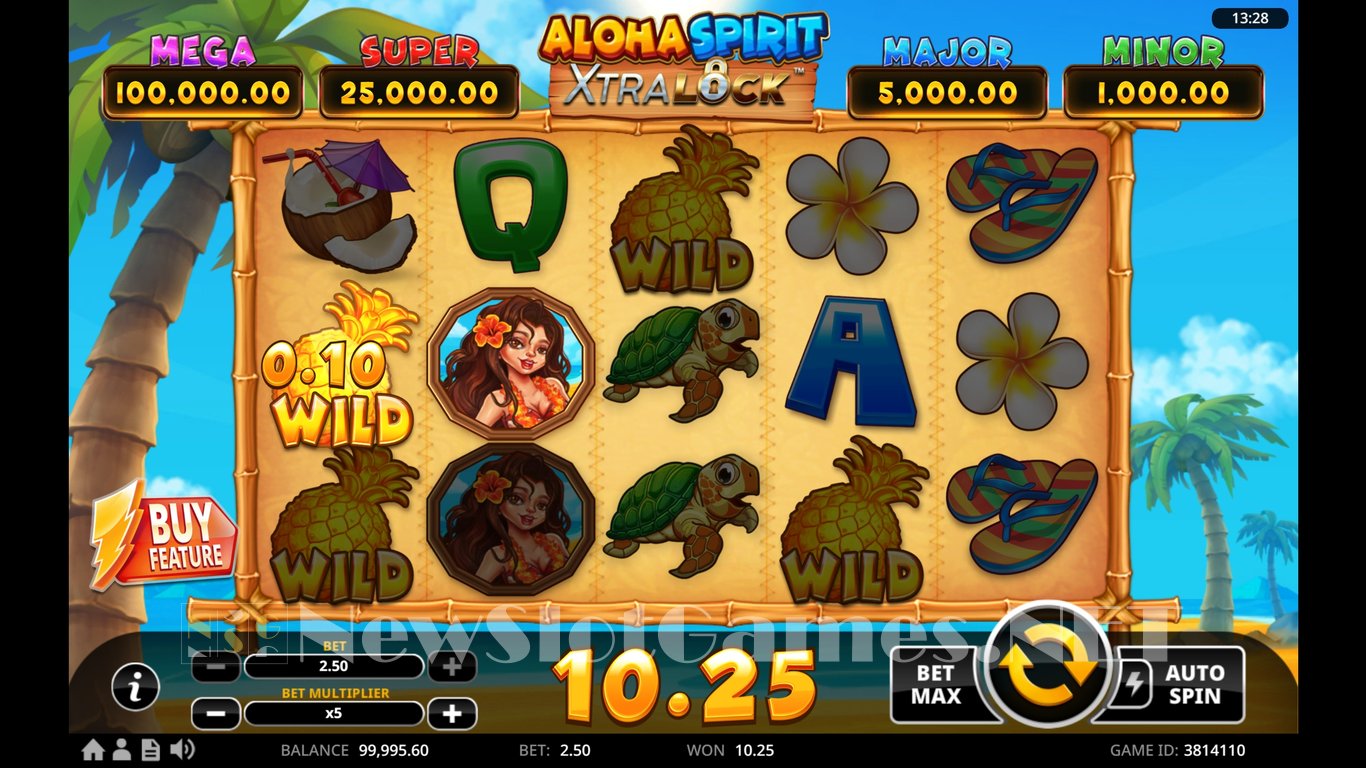 Aloha Spirit XtraLock Slot Slot Image in Demo - pic. 7