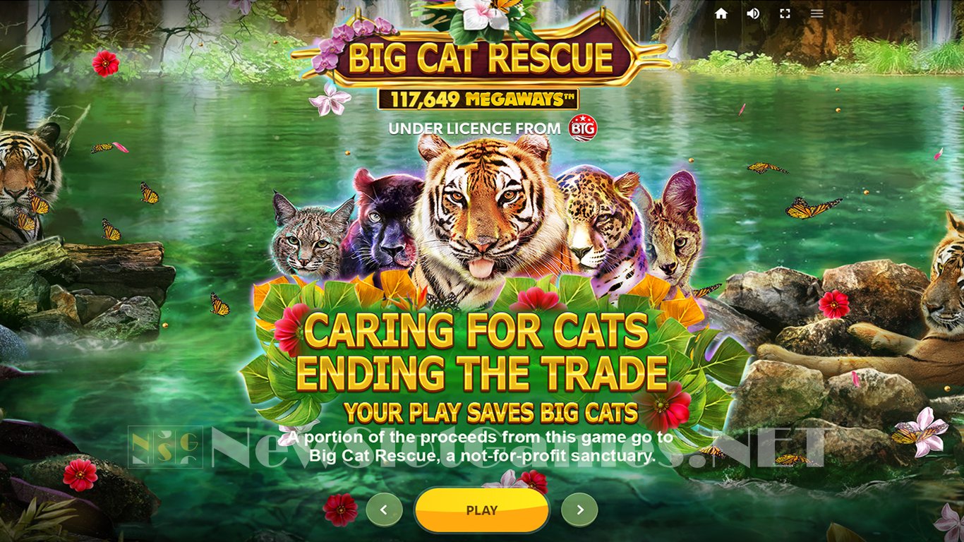 Big Cat Rescue Megaways Slot Demo Image