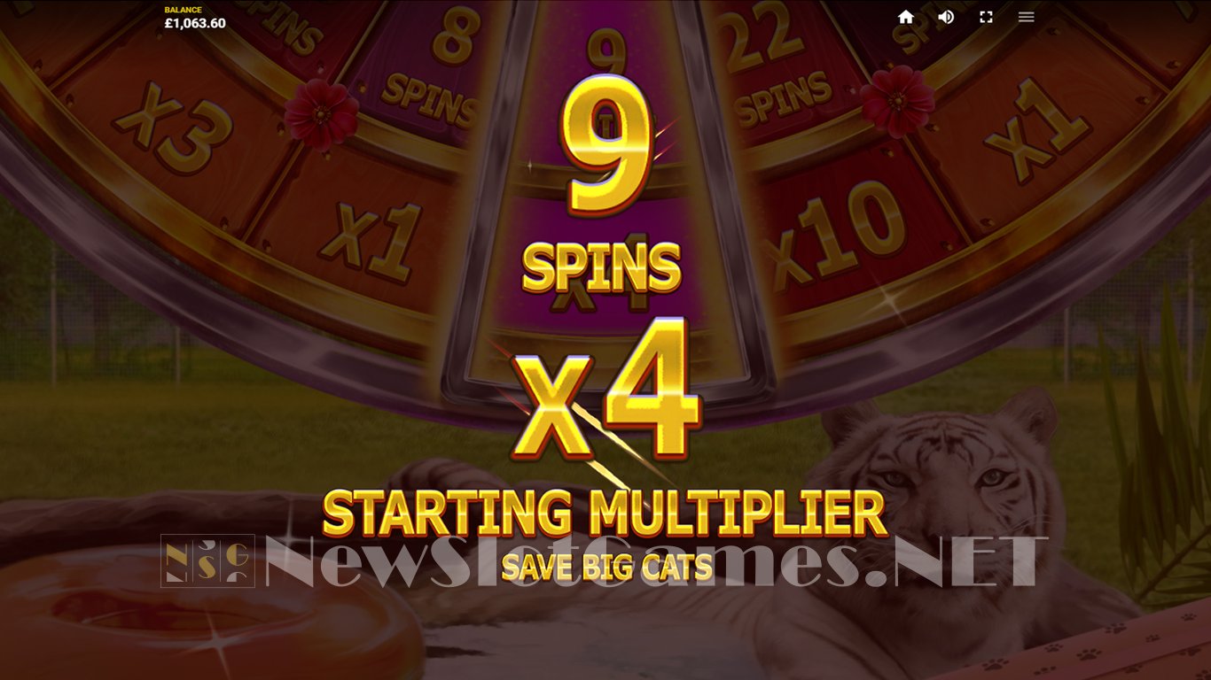 Big Cat Rescue Megaways Slot Slot Image in Demo - pic. 2