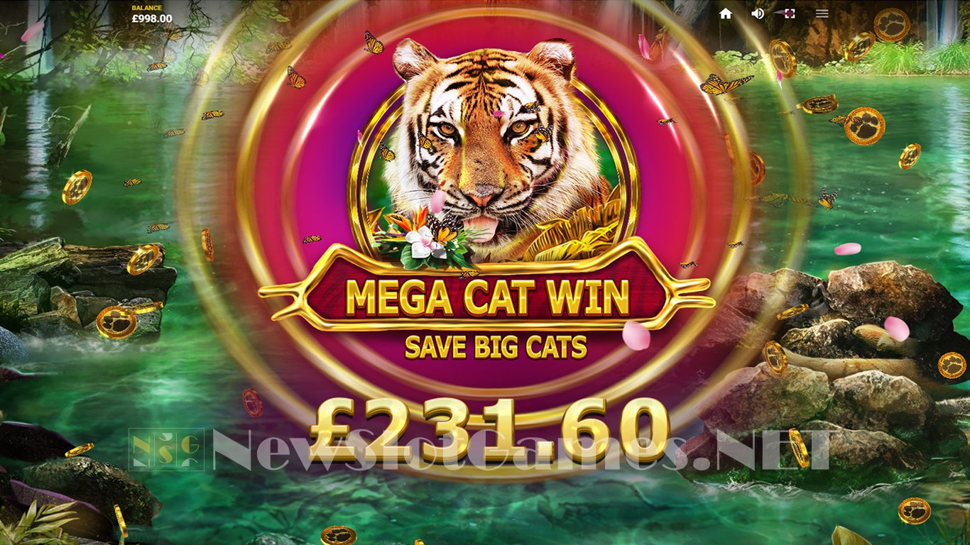 Big Cat Rescue Megaways Slot Slot Image in Demo - pic. 3