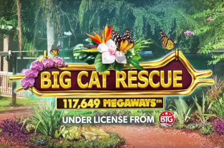 Big Cat Rescue Megaways Slot Logo
