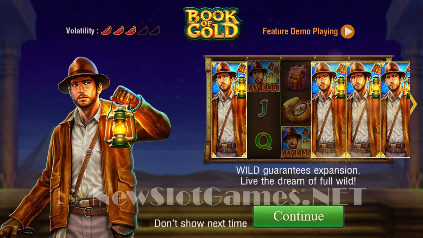 Book of Gold Slot Demo Image