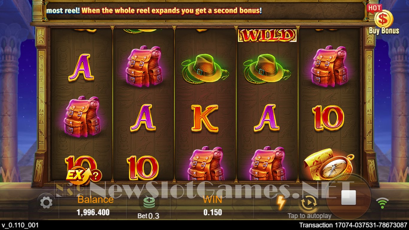 Book of Gold Slot Slot Image in Demo - pic. 6