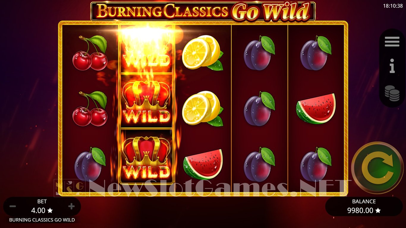 Burning Classics Go Wild Slot Slot Image in Demo - pic. 10