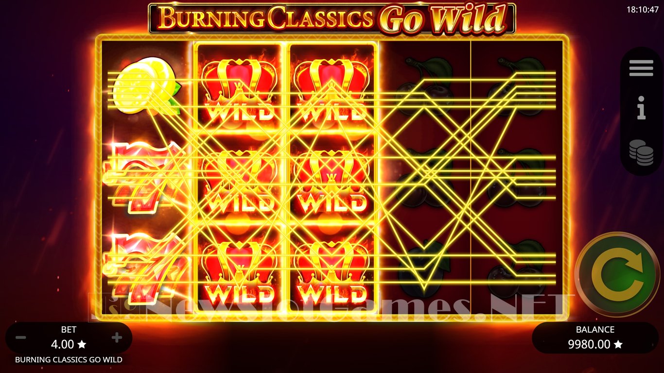 Burning Classics Go Wild Slot Slot Image in Demo - pic. 11