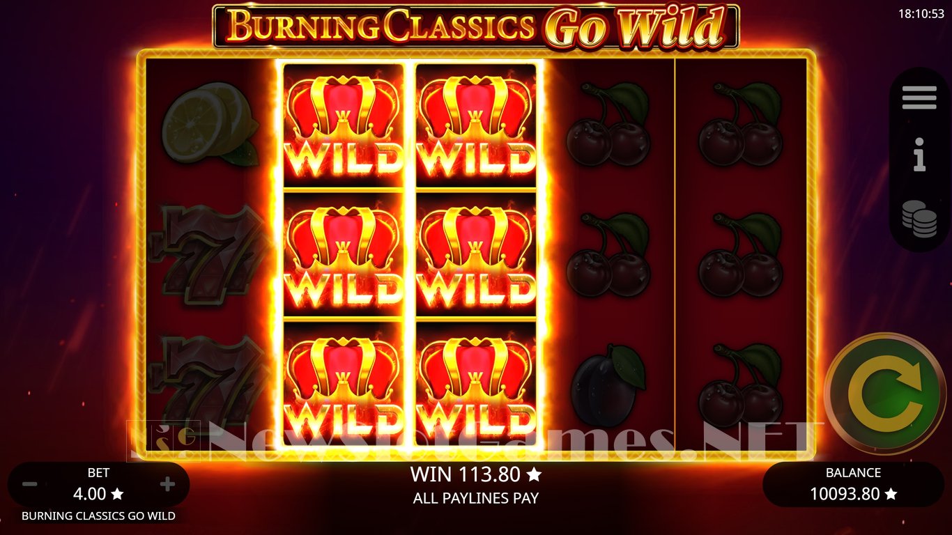 Burning Classics Go Wild Slot Slot Image in Demo - pic. 13